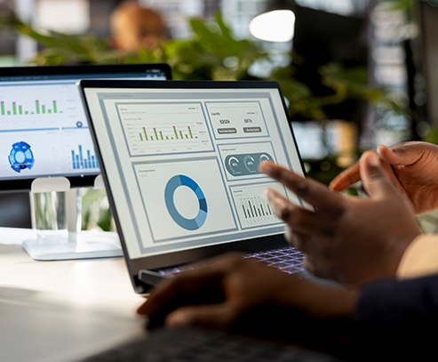 AI Veeva Vault AMS, Application Managed Services, IT Service Partner