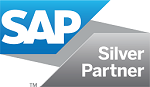 SAP Implementation Partner